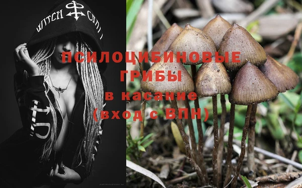 тгк Волоколамск