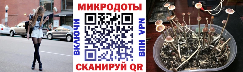 Купить закладки  Нюрба  Псилоцибиновые грибы ЛСД 