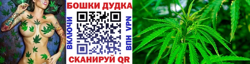 Купить где  Нюрба  Канабис гибрид 